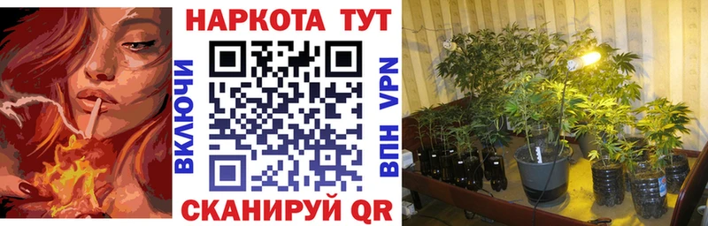 Купить наркотики цена Исилькуль Каннабис Мефедрон COCAIN АМФЕТАМИН Codein ГАШИШ