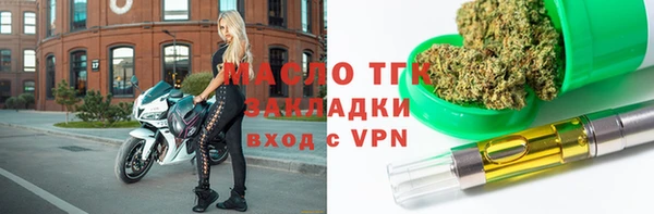 индика Арсеньев