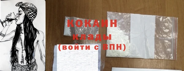 индика Арсеньев