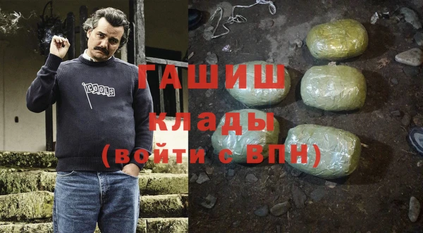 индика Арсеньев