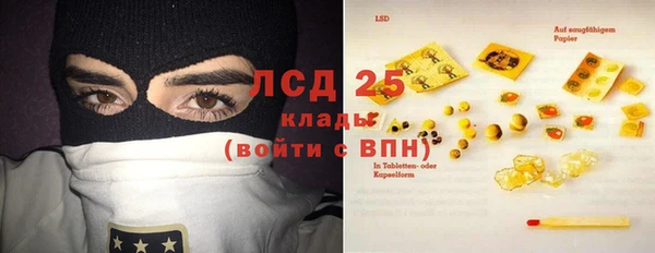 ГАЛЛЮЦИНОГЕННЫЕ ГРИБЫ Армянск