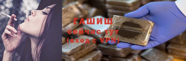 индика Арсеньев