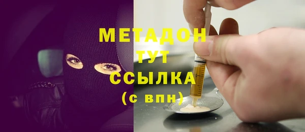 индика Арсеньев