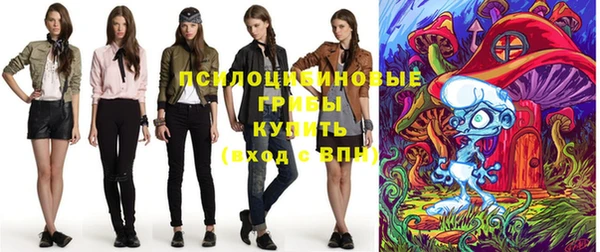 ГАЛЛЮЦИНОГЕННЫЕ ГРИБЫ Армянск