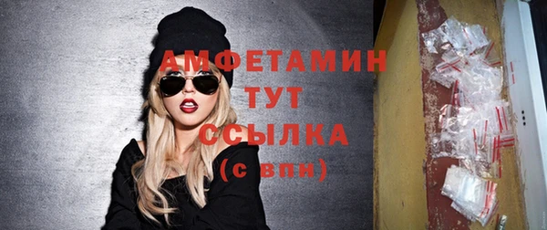 индика Арсеньев