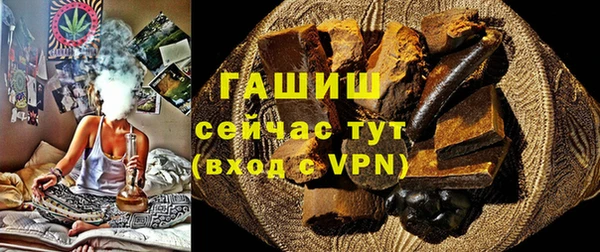 индика Арсеньев