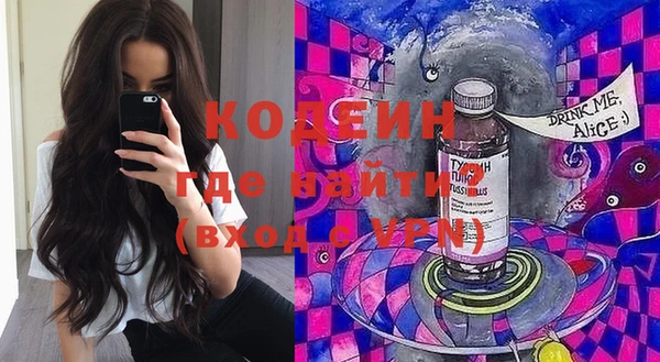 индика Арсеньев